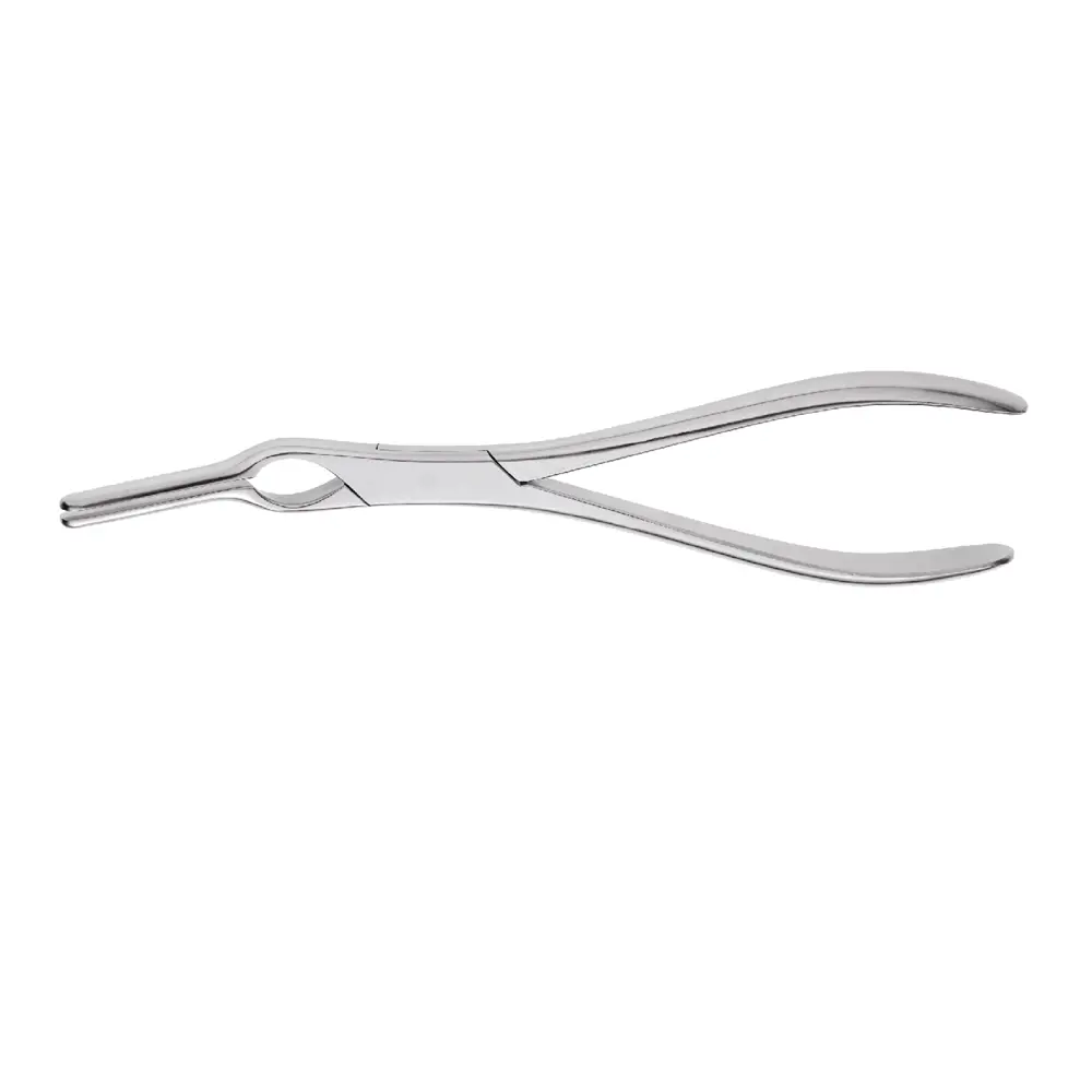 Asch Septum Straightening Forceps, (23cm)