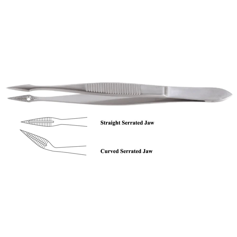 Hunter Splinter Forceps With Serrated Jaw, (10.5cm)